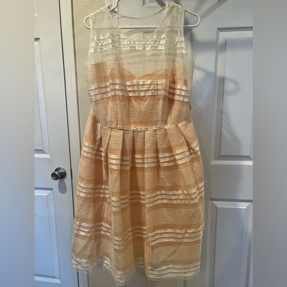 Sheer Dress with Peach lining